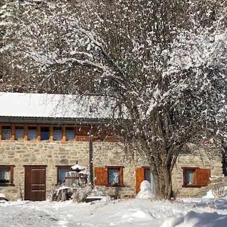 A L'Oree Du Bisse Anzère Exteriör bild
