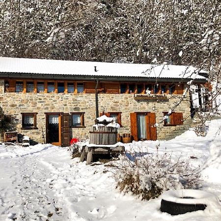 A L'Oree Du Bisse Anzère Exteriör bild