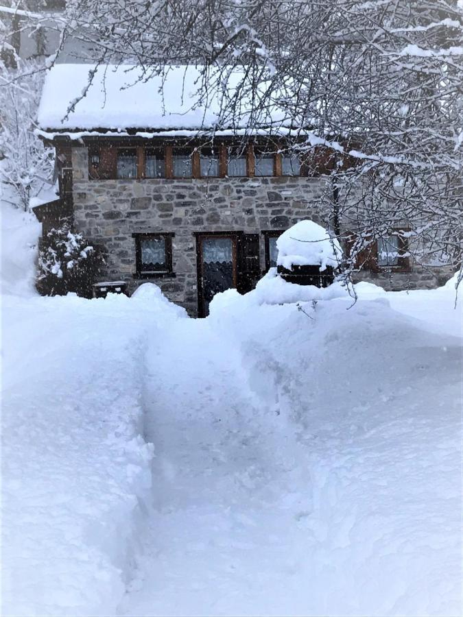 A L'Oree Du Bisse Anzère Exteriör bild